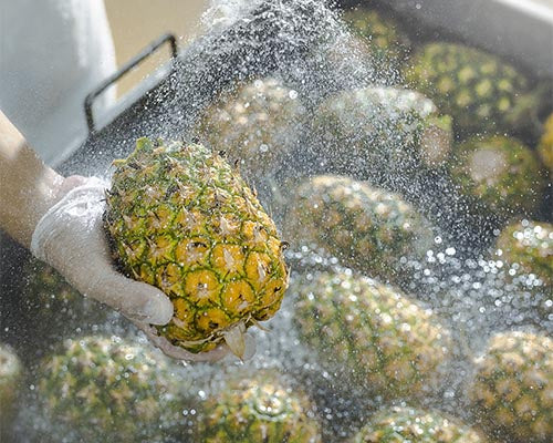 A pineapple being pressure washed